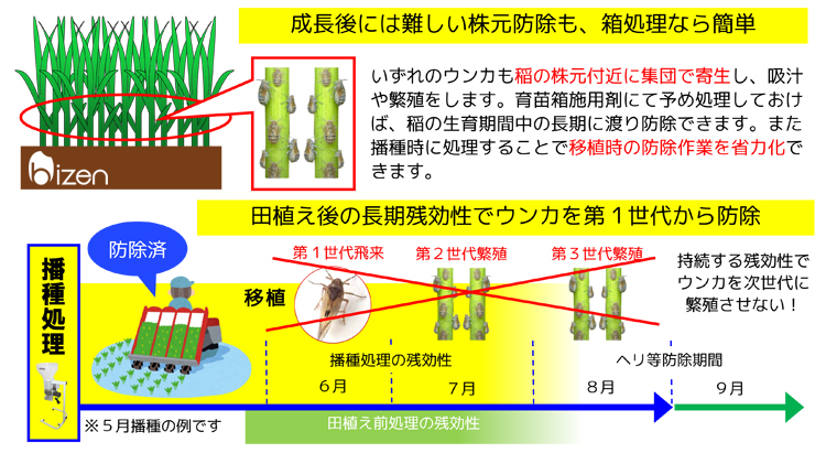 ウンカ防除の方法