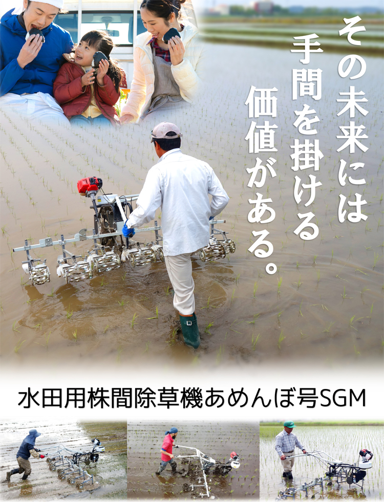 世界の 水田用株間除草機 ホクエツ あめんぼ号6乗用 SGM-62M 水田 育苗 稲 米 除草 株間除草 無農薬 減農薬 雑草 