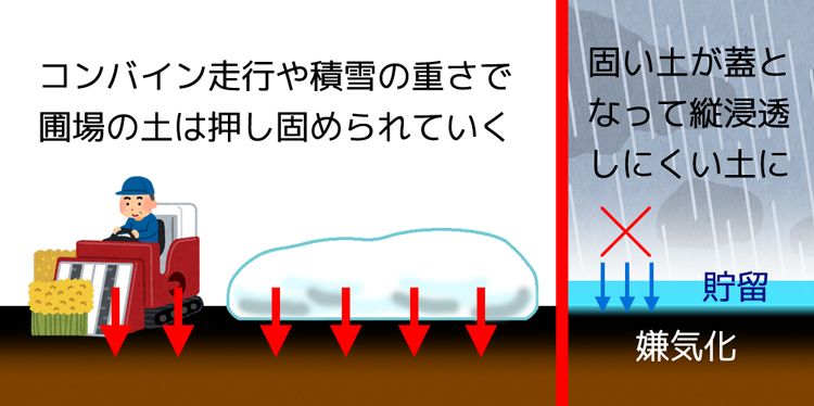 稲刈り後はコンバイン走行や積雪の重さで圃場の土は押し固められる。雨がしみこみにくい。