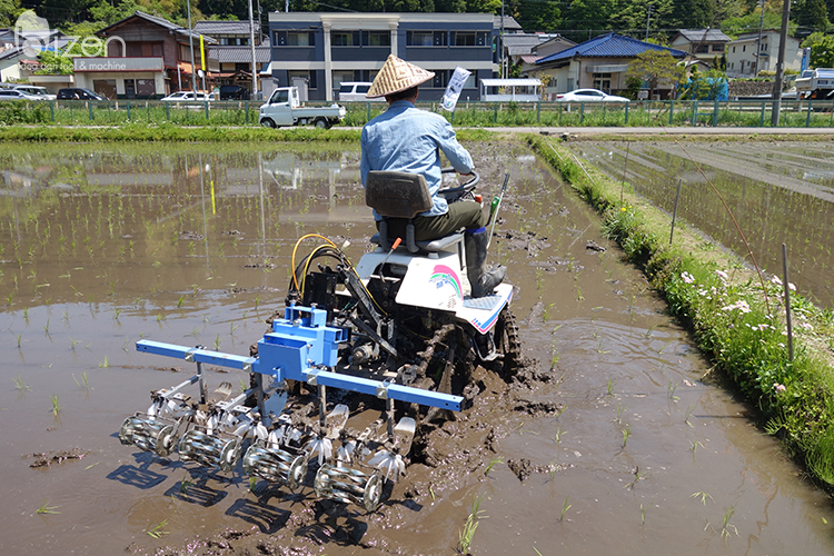 水田除草機あめんぼ号 作業の様子