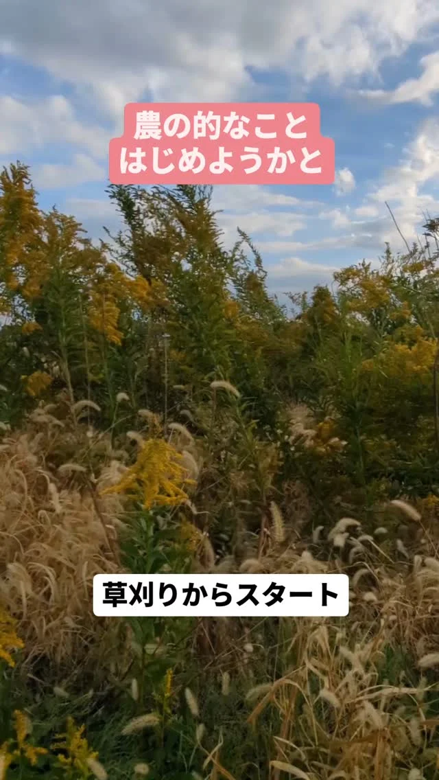 株式会社美善 | 山形県酒田市アイデア農機具メーカー。播種同時 株式会社美善 | 山形県酒田市アイデア農機具メーカー。播種同時