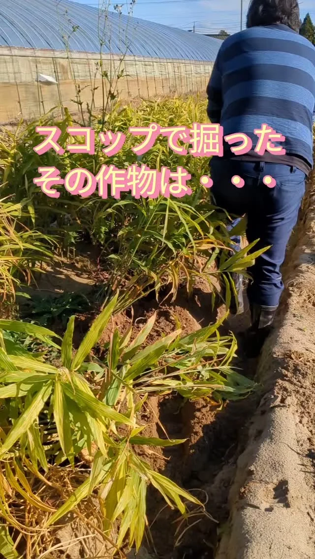 株式会社美善 | 山形県酒田市アイデア農機具メーカー。播種同時 株式会社美善 | 山形県酒田市アイデア農機具メーカー。播種同時